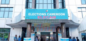 Picture of ELECAM Cameroon on 237 civil rights insights